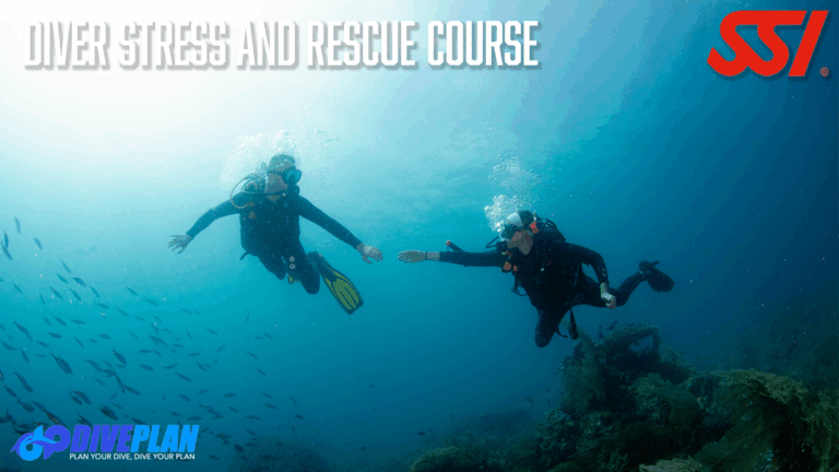 Blog thumbnail image